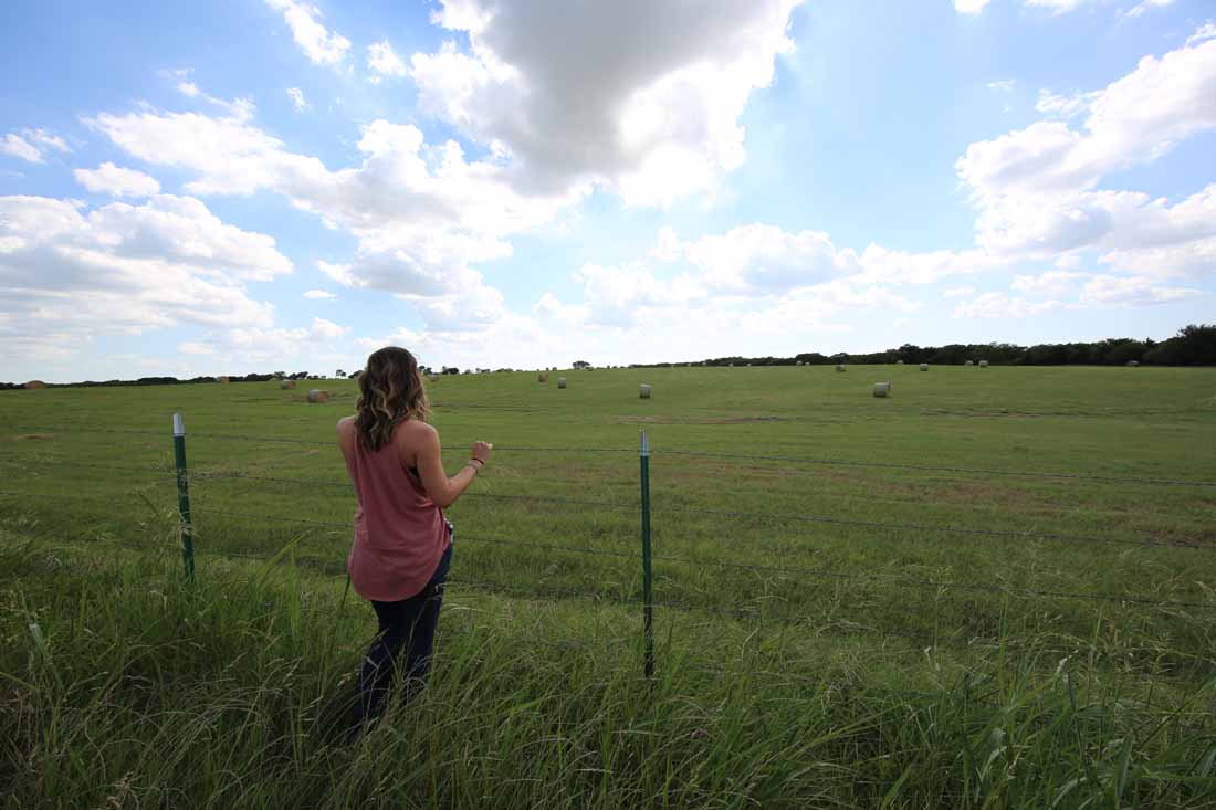 Pasture Land in Grayson County